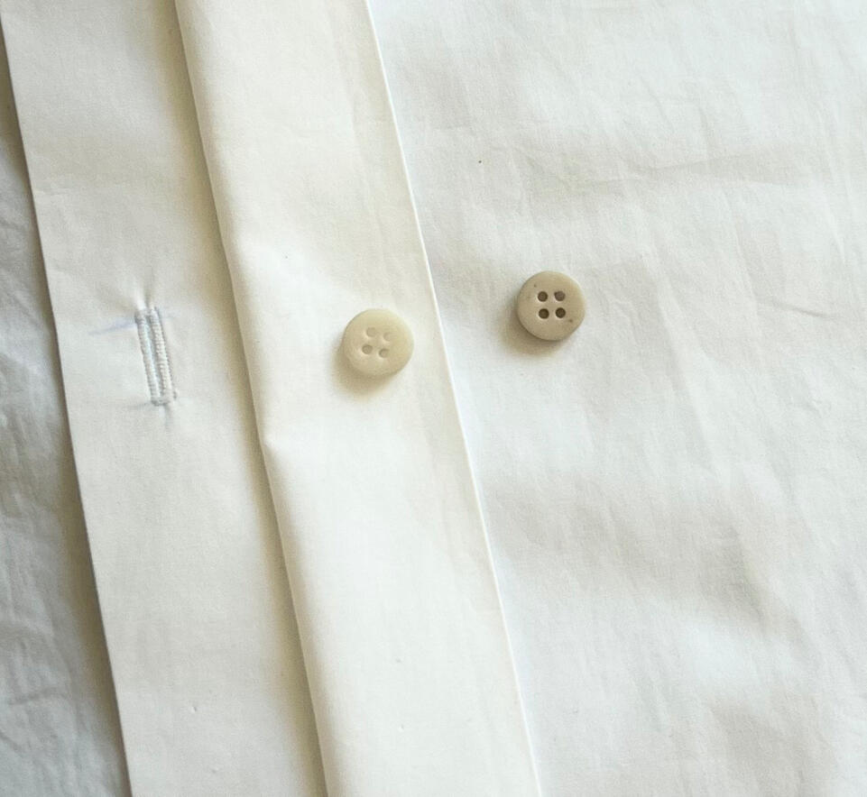 Ivory Tagua Nut